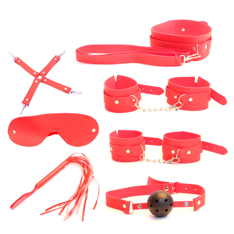 Bondage Kit with Handcuffs, Whip, Gag, Blindfold and Storage Pouch, PU, Pink - Image 5