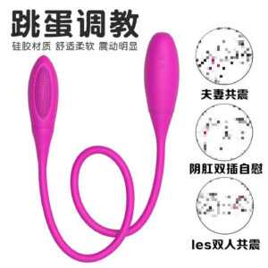 Dual-Head Vibrating Egg Anal Plug, Silicone Couples Prostate Massager with Button Control