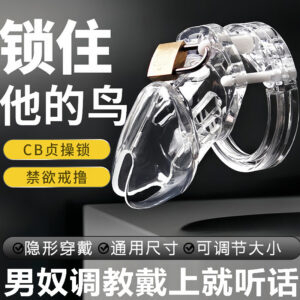 Male Chastity Cage Lock, Silicone Birdcage Short Design, Adult Training Device