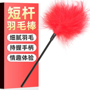 Jiuai SM Feather Slapping Auxiliary Tool for Couples, ABS Short-Handle Feather Stick, Red