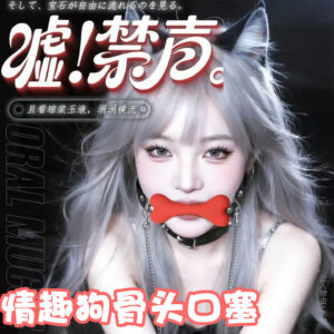 Dog Bone Ball Gag Silicone Mouth Gag with Leather Straps for Adults