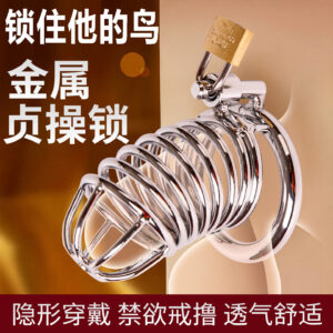 Metal Male Chastity Cage Lock, Snake-Style Birdcage Design, Adult Abstinence Training Device