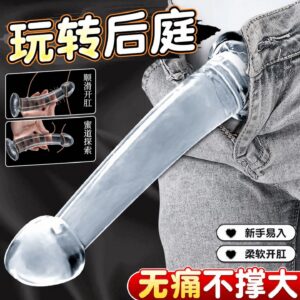 TPE Realistic Anal Plug with Suction Cup, Manual Control, Transparent
