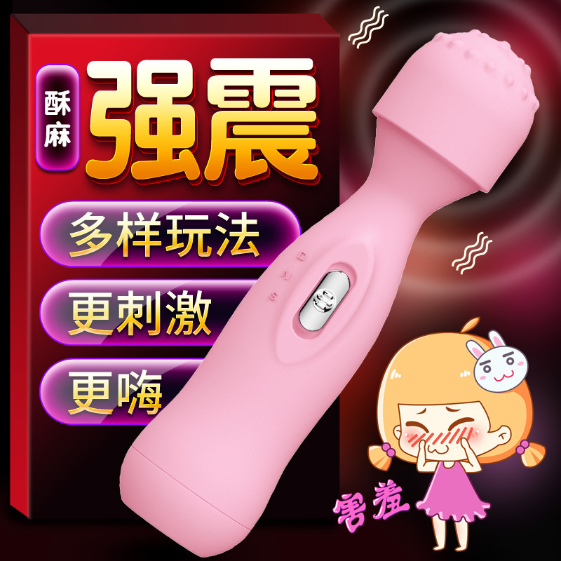Rechargeable Mini AV Vibrator, Frequency-Conversion Massage Stick, Pink or Blue - Image 2