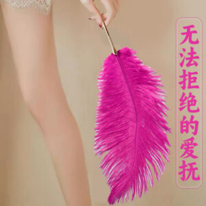 Soft Feather Teasing Stick with Zinc Alloy Handle for Couples