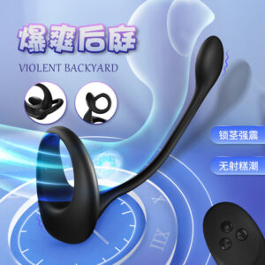 Remote-Control Vibrating Anal Plug with Prostate Massager, 10 Vibration Frequencies, Silicone