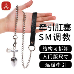 Metal Anal Plug with Fox Tail and Bead Traction Design