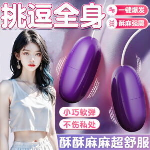 USB Vibrating Egg for Women, Dual Vibrating Model, Purple ABS, 50dB Quiet