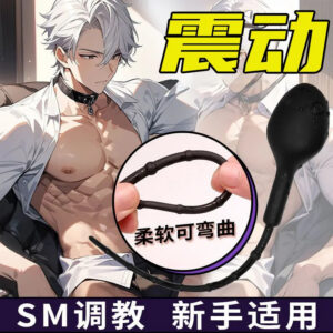 Silicone Vibrating Urethral Stimulator for Adults, Button Control, Rechargeable Prostate Massage Device