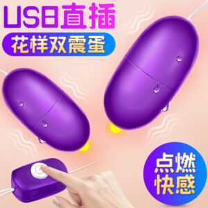 USB Rechargeable Bullet Vibrator for Women, Purple ABS, Single-Frequency Dual-Motor