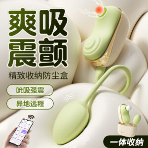 Ankoni Mint Green Mini Vibrating Egg with Multi-Point Stimulation and Cord