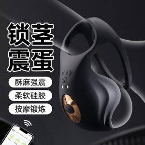 App-Controlled Testicle Training Massager with TPE and ABS+Silicone, USB Rechargeable