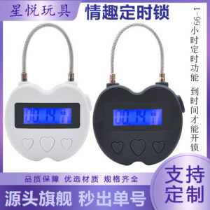 Intelligent Timer Lock, ABS Restraint Timer Lock with Button Control, Black