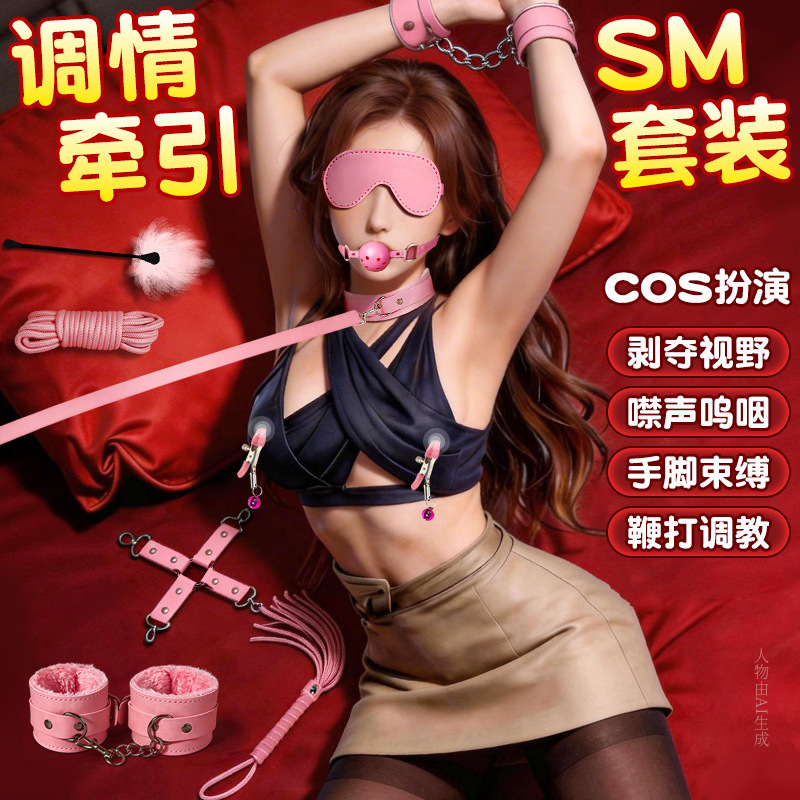 SM Erotic Set with Nipple Clamps, Gag Ball and Handcuffs in Pink - Image 2