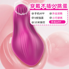 Wearable Vibrating Egg with Remote Control, Multi-Frequency Clitoral and G-Spot Stimulation, Rose Red Silicone - Image 3