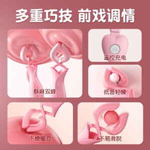 Mystery Lady Wired Clip-On Remote Control Rechargeable Double Vibrating Nipple Clamps