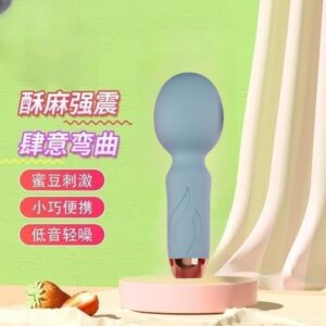 Rechargeable Mini Vibrator Egg, Silicone One-Button Bullet Massager in Red