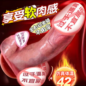 Jiuai Electric Silicone Dildo with Automatic Insertion and Vibration for Adult Women