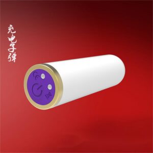 Wireless Remote Control Wearable Egg Vibrator with 10 Vibration Modes