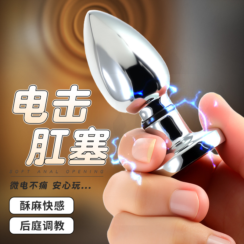 Mystery Lady Metal Electric Shock Anal Plug, Silver, Unisex Adult Anal Training Device - Image 2