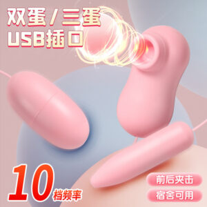 Rose Vibrating Egg with Suction and Tongue Lick Modes, Rechargeable Pink Female Massager