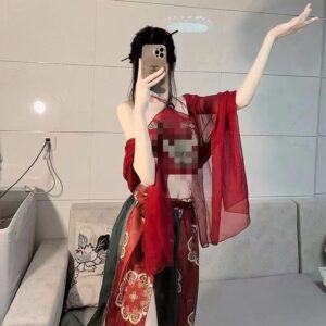 Dunhuang Phoenix Feitian Printed Belly Dance Costume Set with Shawl, Dudou, Skirt and Thong