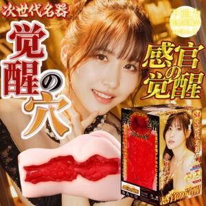 Hoshino Hikaru Male Masturbator TPE Replica with USB Heating Rod