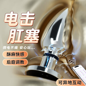 Mystery Lady Metal Electric Shock Anal Plug, Silver, Unisex Adult Anal Training Device
