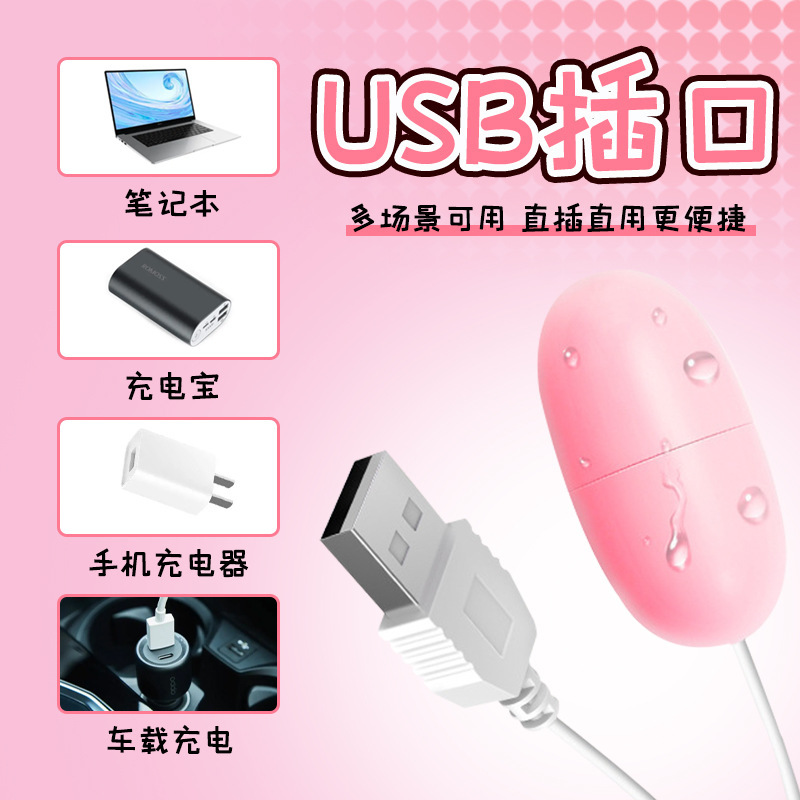 Huan Guo USB Single Vibrating Egg Rechargeable Pink ABS Adult Toy - Image 2