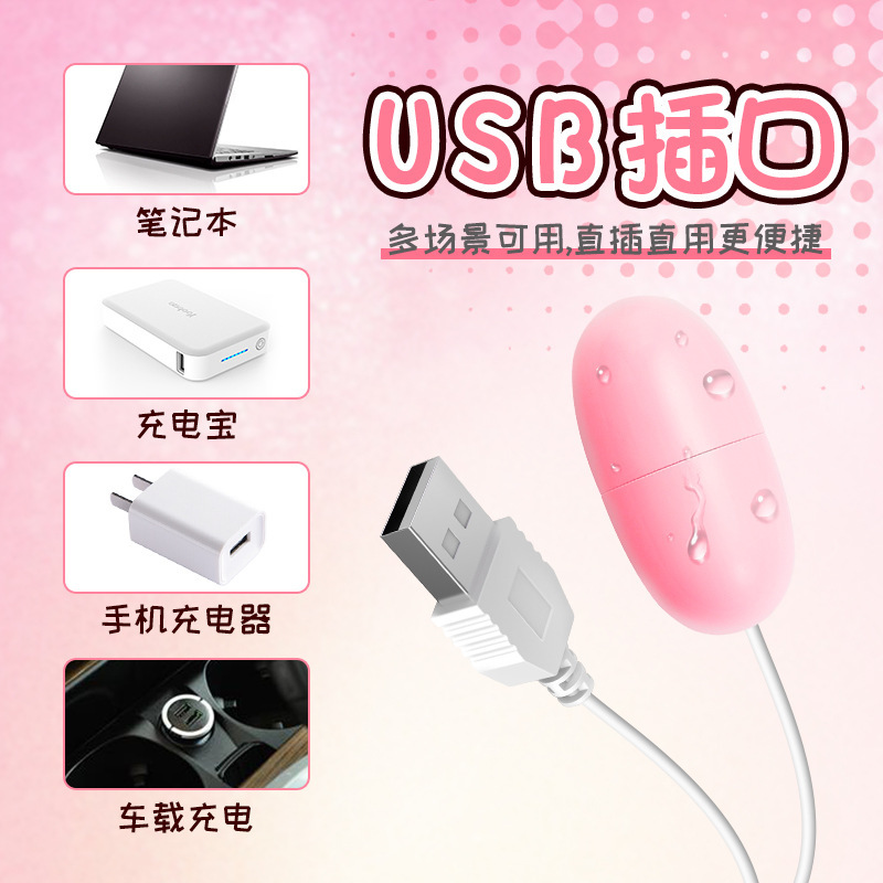 Laile USB Single Vibrating Egg for Women, Variable Frequency, Pink ABS, 5x2.5cm - Image 2