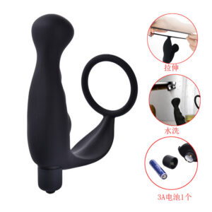 Silicone Prostate Vibrator Anal Plug with 10-Frequency Vibration and Ring Design