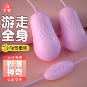 Jiuai Wearable Vibrating Egg with USB Charging, Variable Vibration, Quiet Motor, Adult Couples Massager
