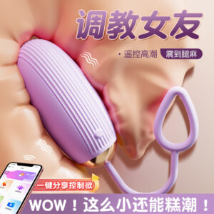 Wireless Remote Control Vibrating Egg in Purple Silicone and ABS for Adult Pleasure