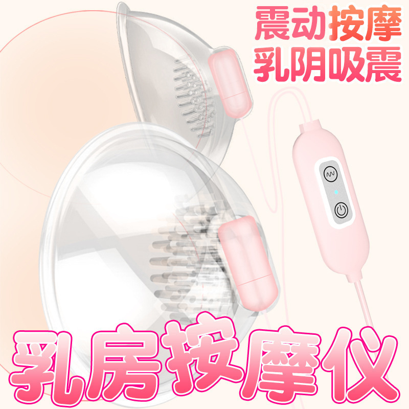 Breast Vibrating Massager with Nipple Clamp, USB or Rechargeable Remote Options - Image 2