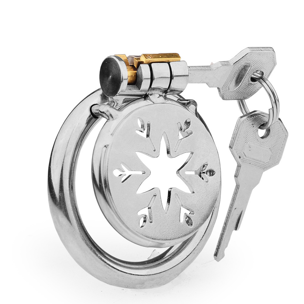 Men's Stainless Steel Birdcage Chastity Cage with Lock, Manual Restraint Device - Image 5