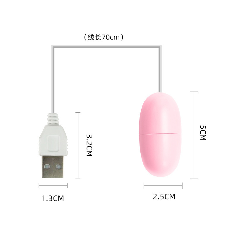 Laile USB Single Vibrating Egg for Women, Variable Frequency, Pink ABS, 5x2.5cm - Image 4