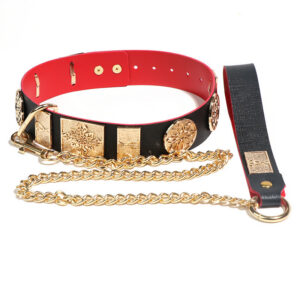 Jiuai SM Flying Fish Collar and Chain Set with Metal and Leather Bondage Accessories