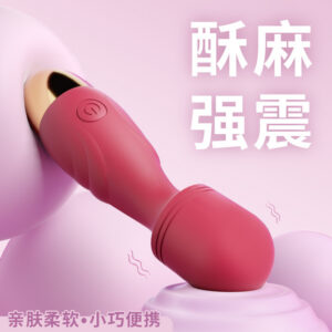 Mini Vibrating Wand with Silicone Anal Plug Attachment, Button Control, Purple