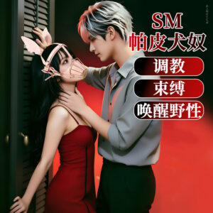 Jiuai SM Couple's Teasing Prop, Black PU Intimate Play Accessory