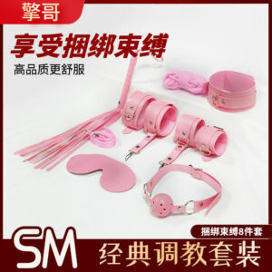 Qingge SM 8-Piece Pink Leather Oral Ball and Mouth Plug Set for Couples