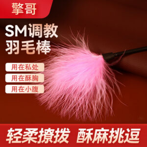 Feather Teasing Stick in Pink with ABS Handle for Adult Sensory Play