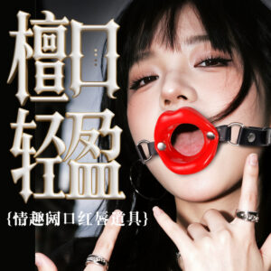 Jiuai SM Mouth Ball Gag with Leather and Metal Construction for Adult Couples