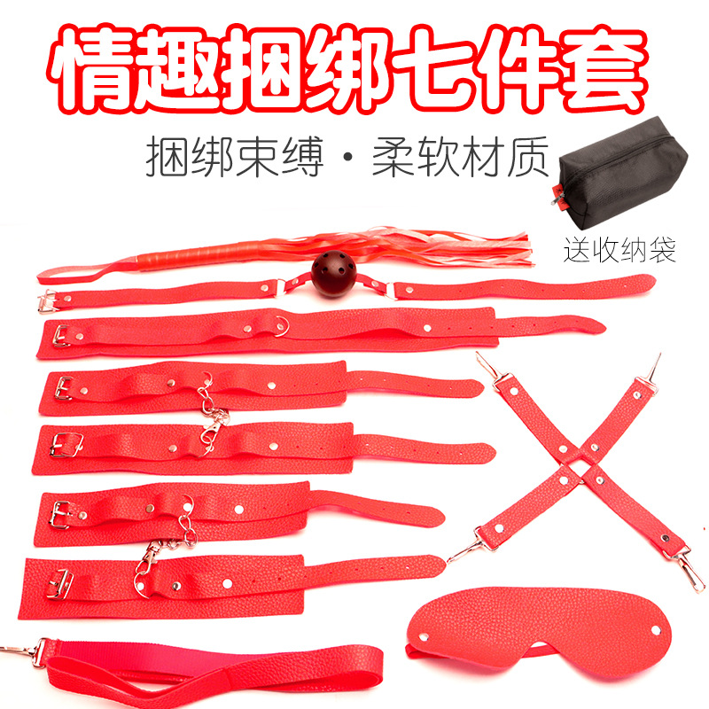Bondage Kit with Handcuffs, Whip, Gag, Blindfold and Storage Pouch, PU, Pink - Image 2