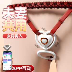 Jiuai Wearable Female Vibrator with App Control, Quiet ABS Design for Couples